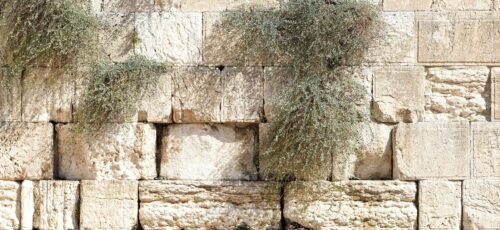 jerusalem, wailing wall, israel, religion, pray, judaism, sacred, holy, jerusalem, jerusalem, jerusalem, jerusalem, jerusalem, wailing wall, israel, israel