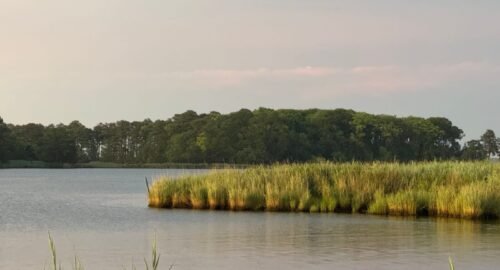 Peaceful summer scene of Rock Hall, MD with lush greenery and calm waters.